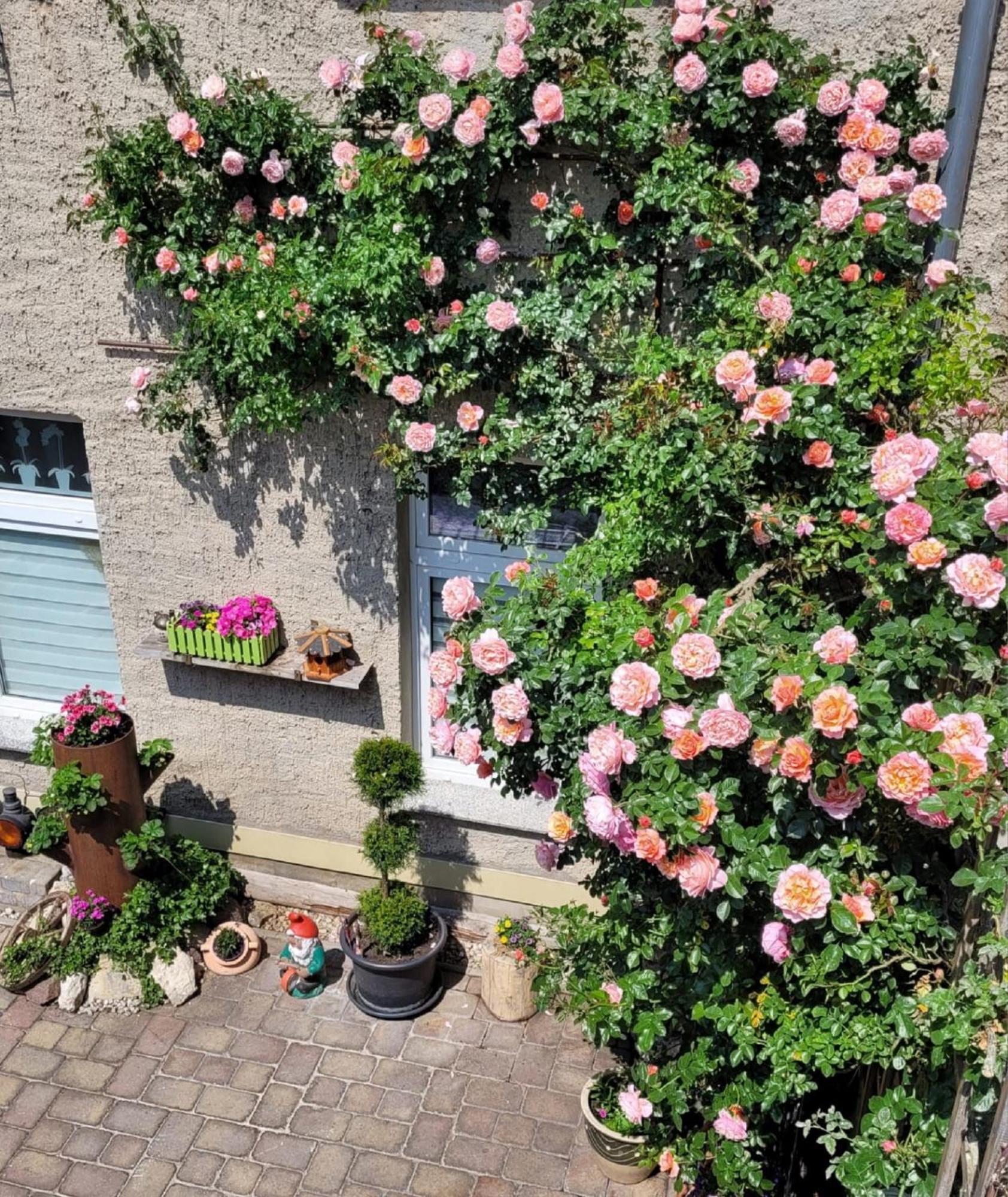 Ferienwohnung Domblick Naumburg (Saale) Exterior foto